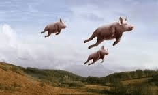 pigs can fly1