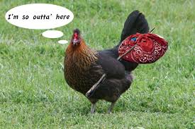 Getting Outta Nazareth