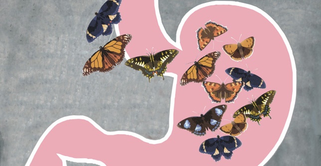 butterflies-stomach_el_featured_0-1w7obsd