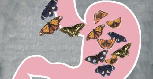 butterflies-stomach_el_featured_0-1w7obsd