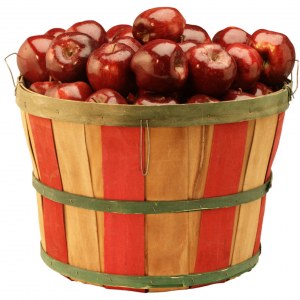 apples_bushel-300x300