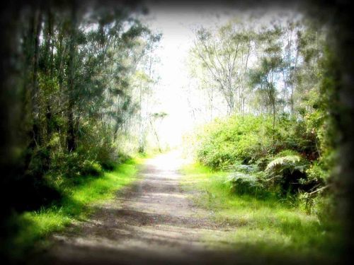 one day closer to heaven