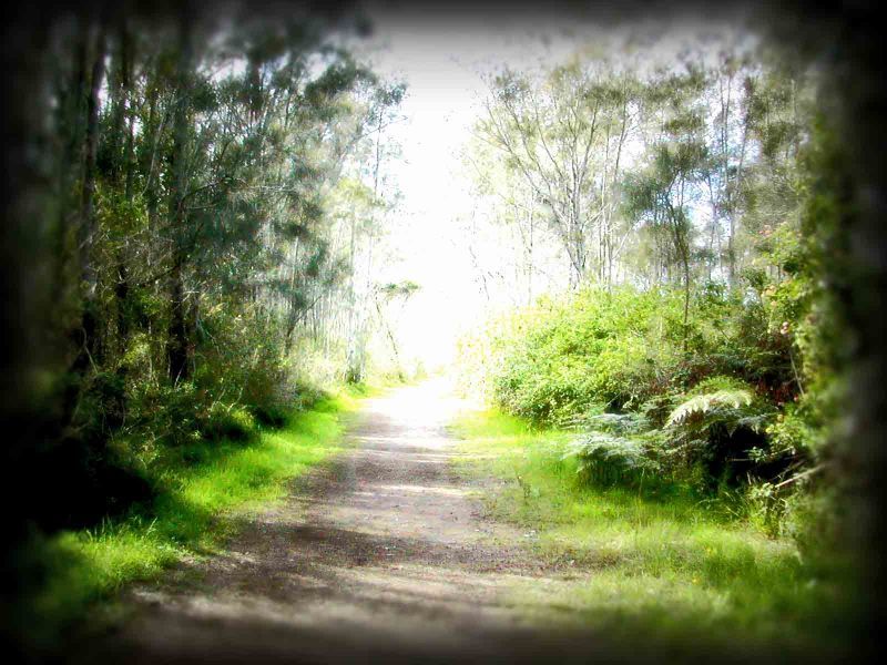 one day closer to heaven